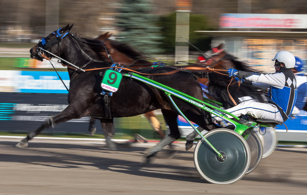 Hoppegarten I