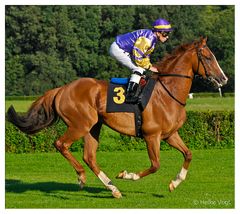 Hoppegarten III