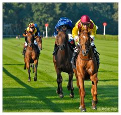 Hoppegarten IV