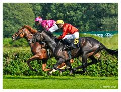 Hoppegarten V