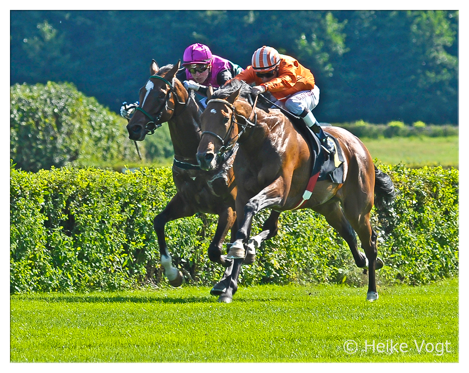 Hoppegarten VI