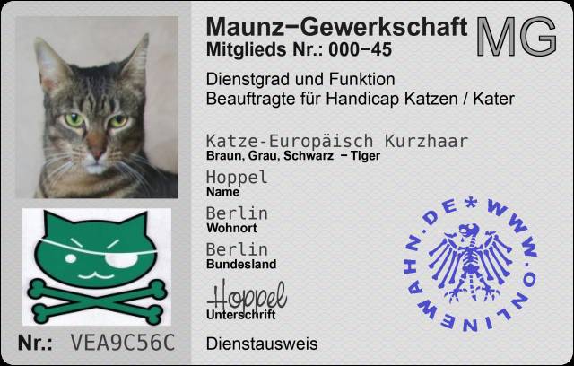 Hoppel (45) Handicap Katzen/Kater