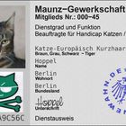 Hoppel (45) Handicap Katzen/Kater