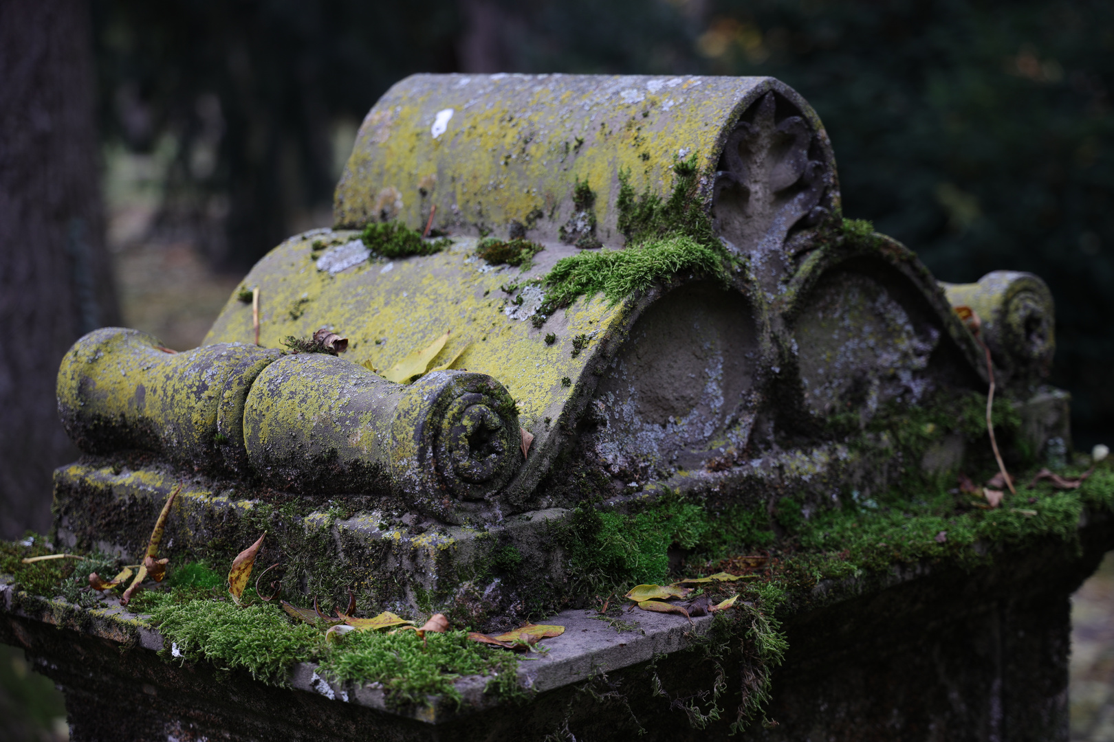 Hoppenlaufriedhof Stuttgart