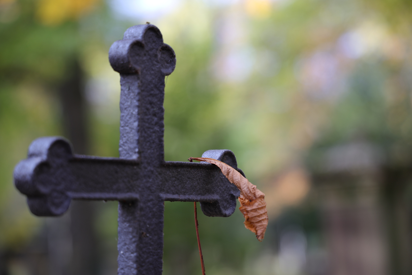 Hoppenlaufriedhof Stuttgart