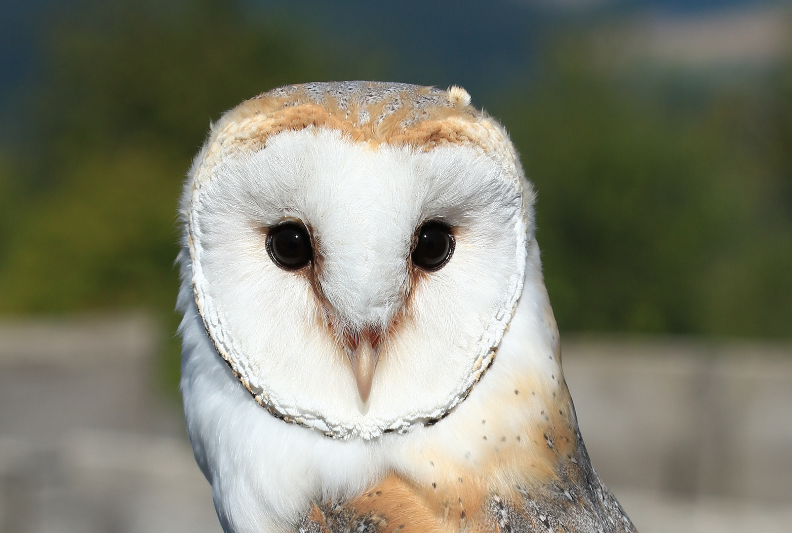 Hoppla,ich werd fotographiert