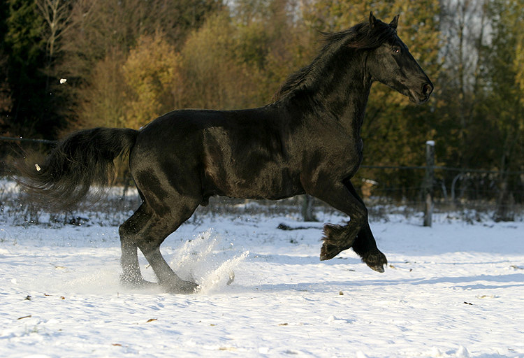 Hoppsa wir haben Schnee