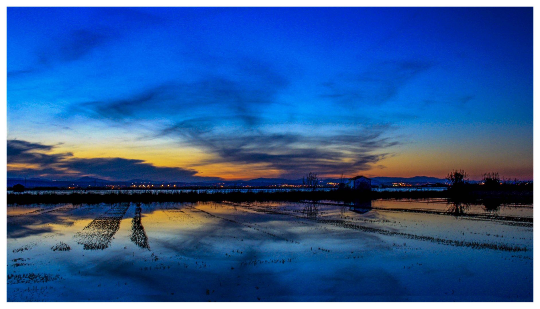 Hora azul en la Albufera