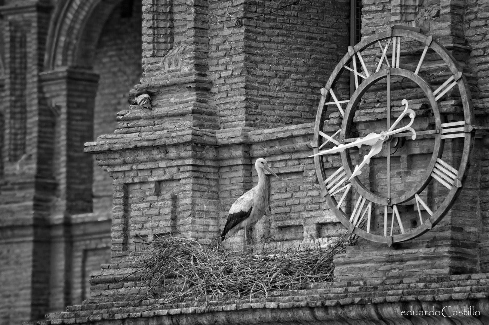 Hora de volar  