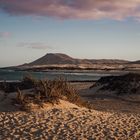 Hora dorada en las dunas