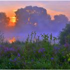 Hora matutina en el lago I (Morgenstunde am See I)