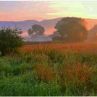 Hora matutina en el lago II (Morgenstunde am See II)