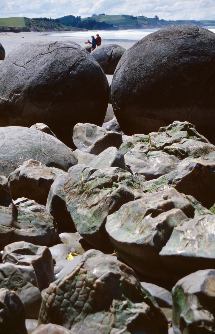 Horaki Boulders NZ 2008