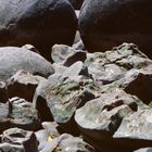 Horaki Boulders NZ 2008