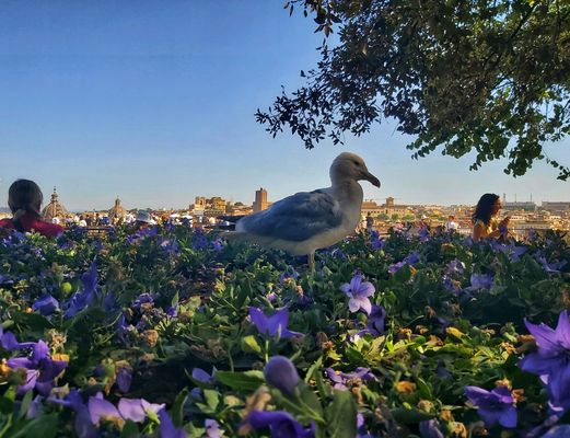  horas complectere! Dum differtur, vita transcurrit. Omnia aliena sunt, tempus tantum nostrum est!