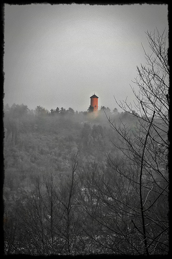 Horb - ein Herbstspaziergang im grauen Morgennebel