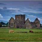 Hore Abbey