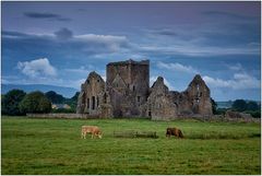 Hore Abbey