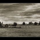 Hore Abbey.