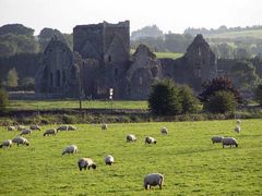 Hore Abbey