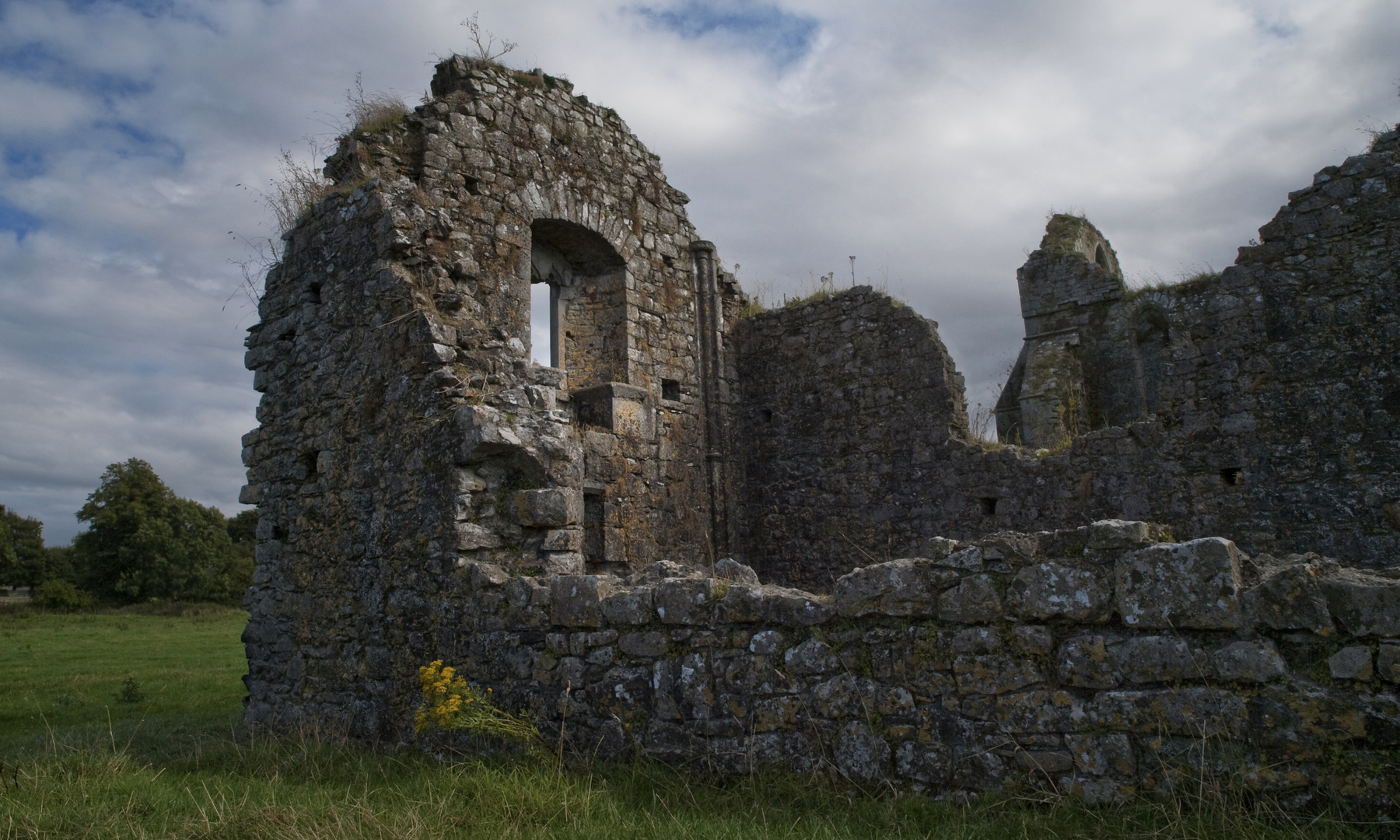 Hore Abbey, Near the Rock of Cashel