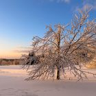 Horeodskopf winterlich