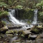 Horesshoefalls Tasmania