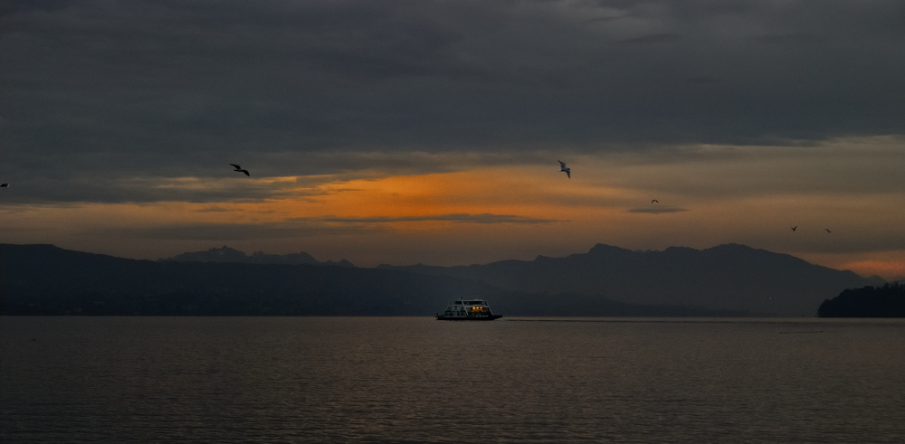 horgen heute morgen