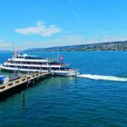 Horgen & Zürichsee.01