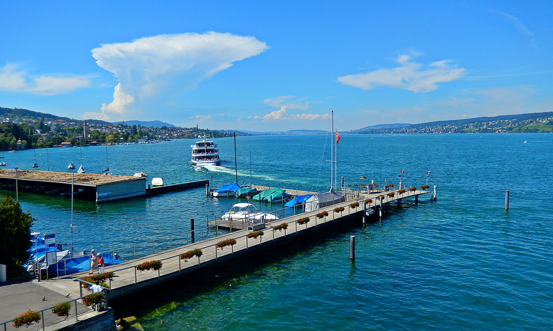 Horgen & Zürichsee.02