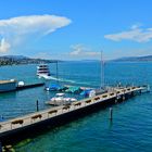 Horgen & Zürichsee.02