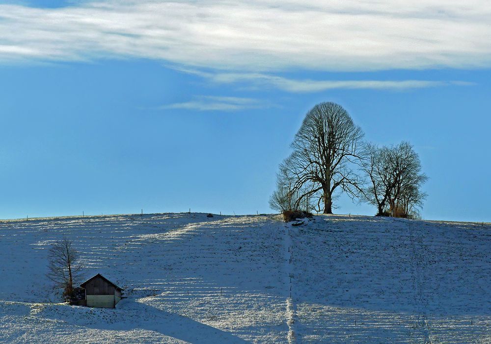 Horgenberg