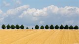 Horizont..... by Thomas Ripplinger 