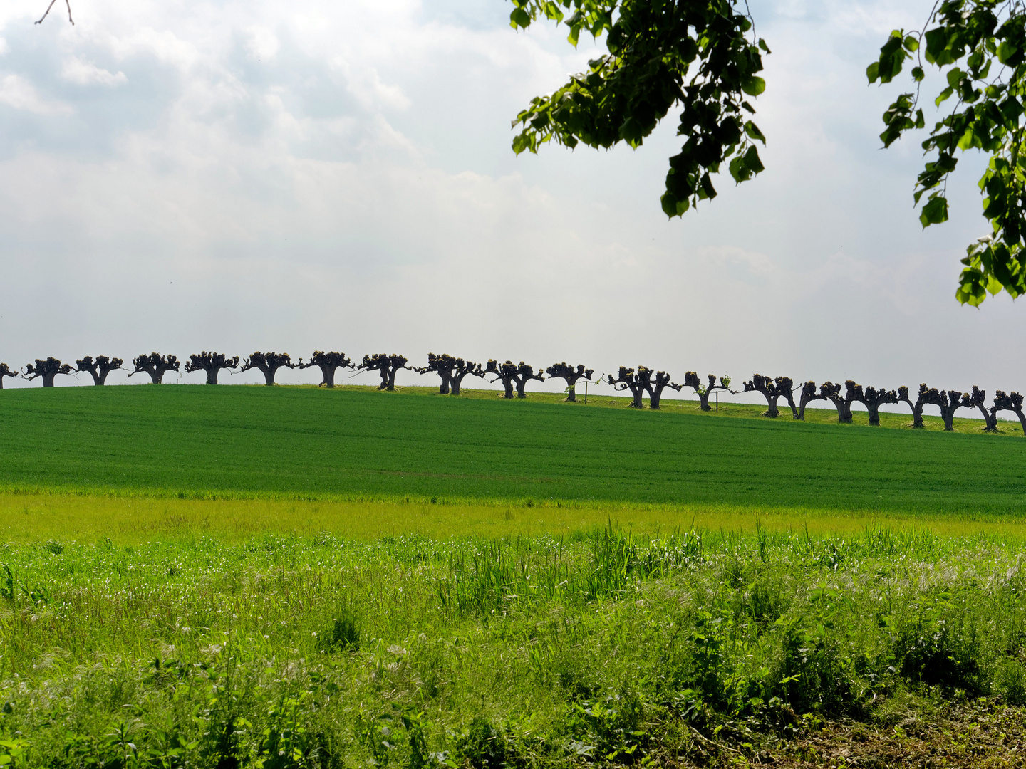 Horizont Foto & Bild | landschaft, alleen, himmel Bilder auf fotocommunity