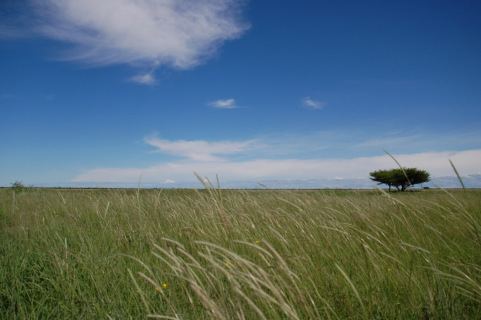 Horizont im Etoscha