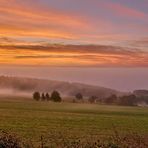 Horizont und Nebelgrenze bilden eine Linie, jetzt ohne störende...