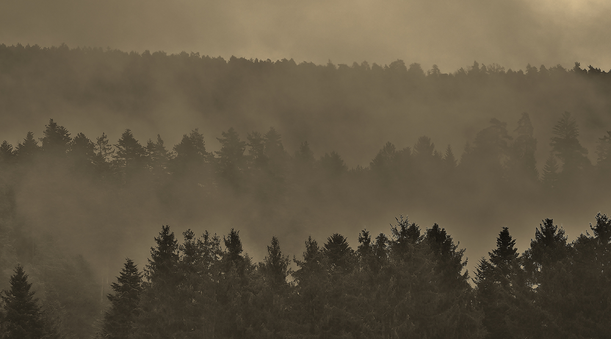 Horizontale Linien im Nebel