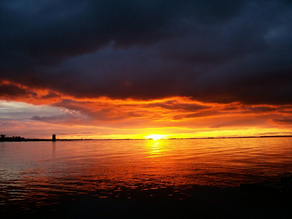 horizonte arlequín