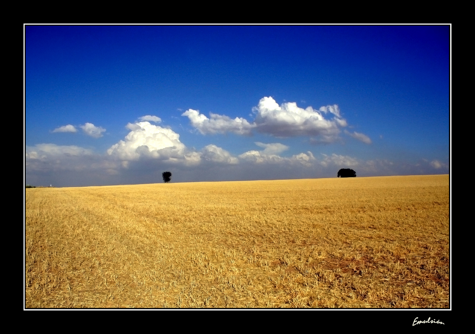 Horizonte con nubes