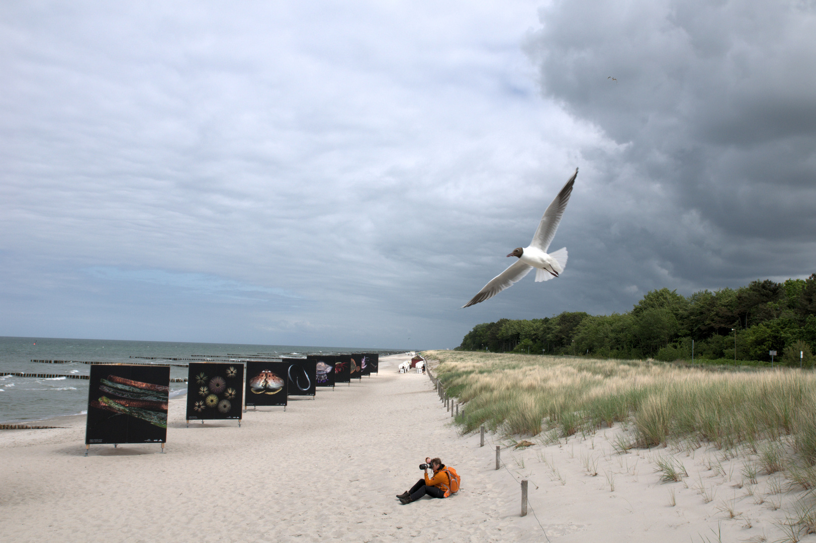 Horizonte Zingst 2012