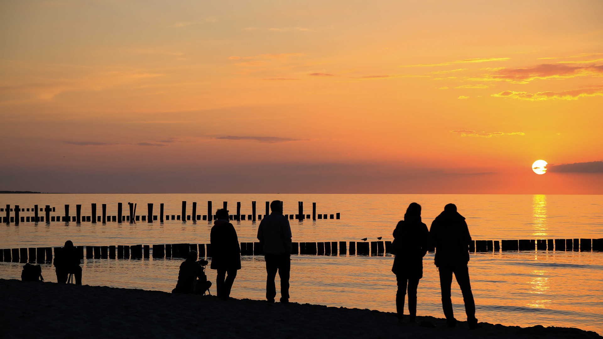 Horizonte Zingst 2015