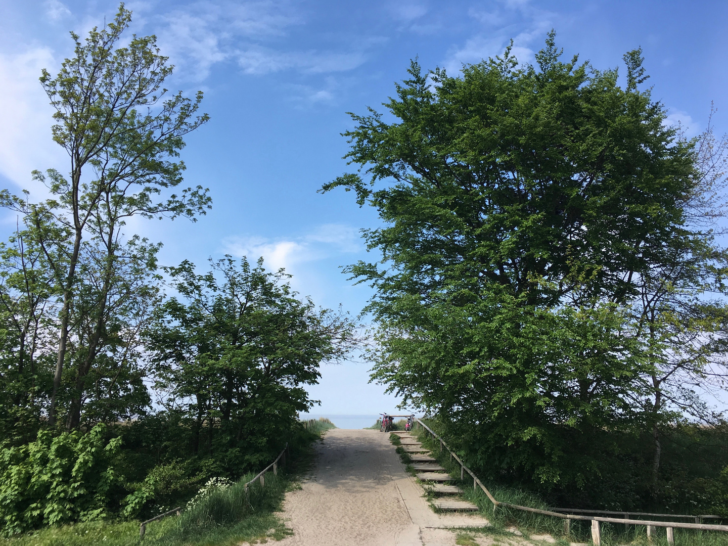 Horizonte Zingst 2017