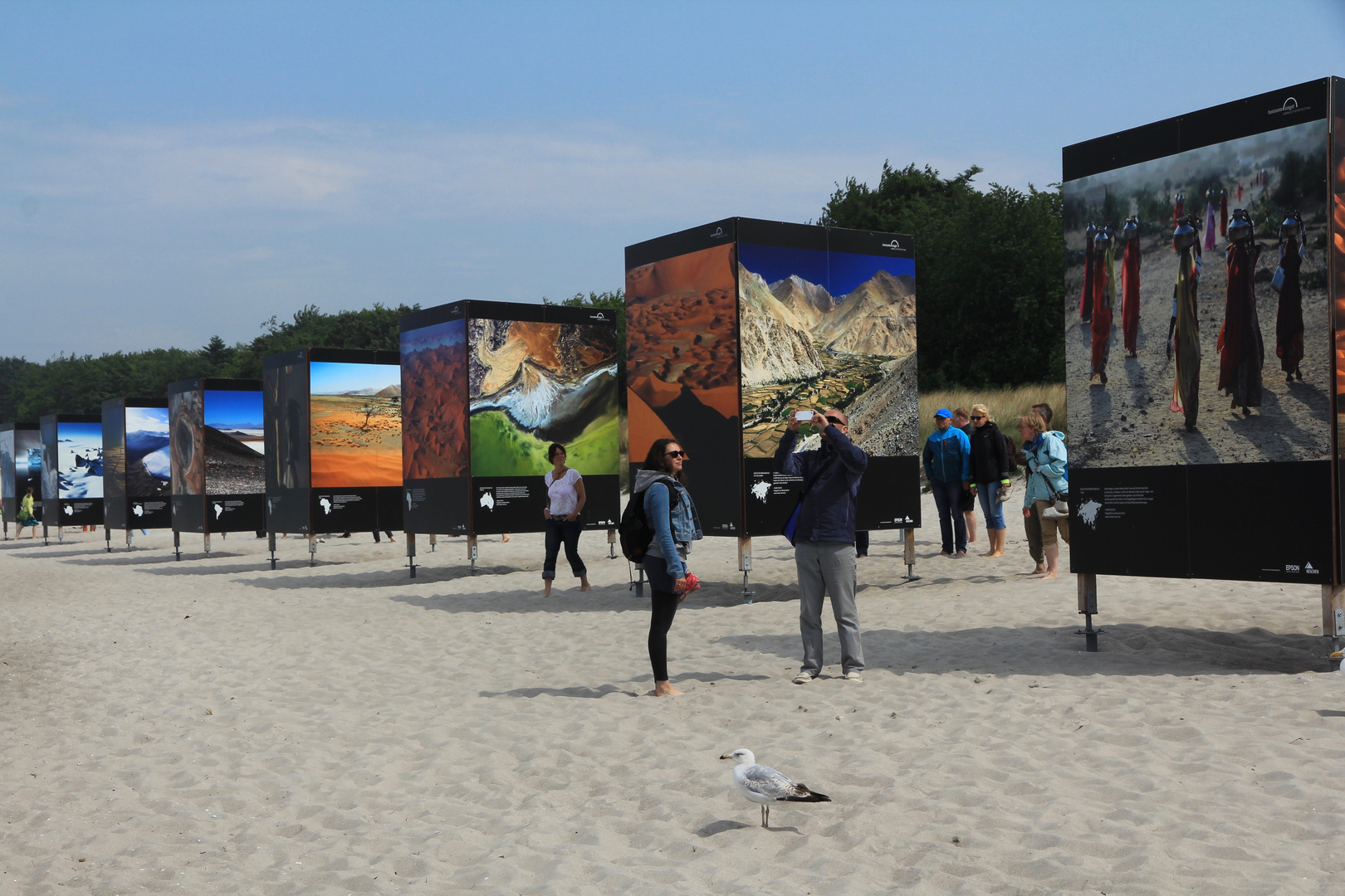 Horizonte Zingst  gesammelte Ansichten und Eindrücke