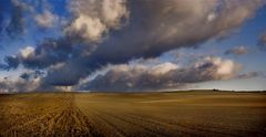 HORIZONTES LABRADOS DE CASTILLA.