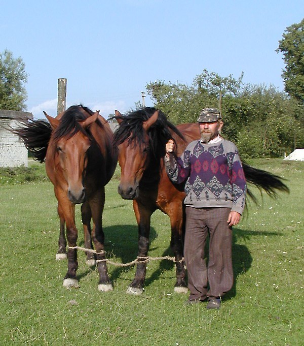 Horka und seine Pferde