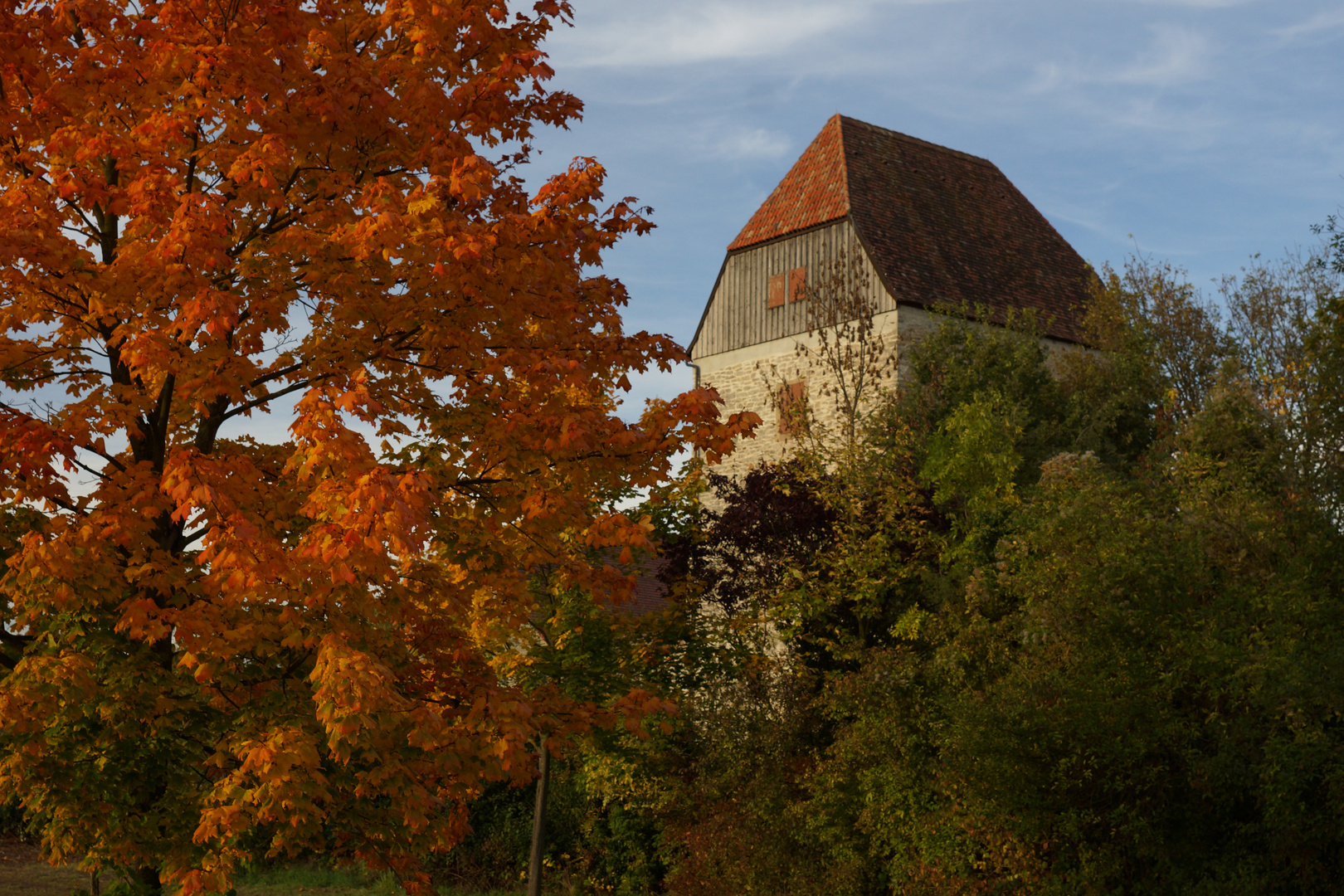 Horkheimer Burg im "Goldenen Oktober"-Kleid