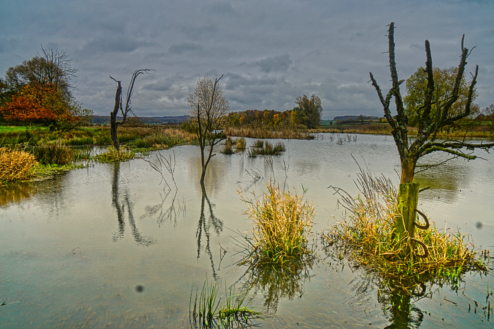 Horloffaue bei Trais-Horloff (Wasserlandschaften)