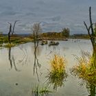 Horloffaue bei Trais-Horloff (Wasserlandschaften)