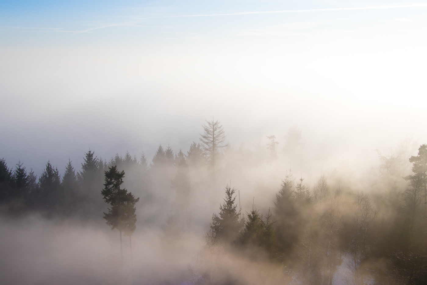 Horn im Nebel