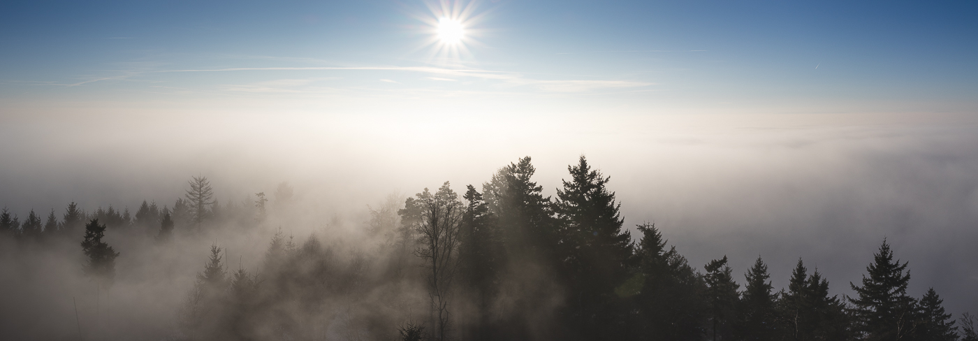 Horn sticht aus den Wolken heraus